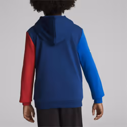 PUMA BMW M Motorsport Hoodie