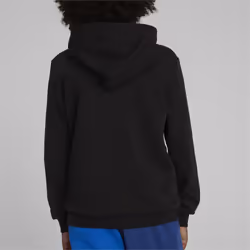 PUMA BMW M Motorsport Hoodie