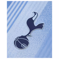 2024-2025 Tottenham Hotspur Away Shirt - L