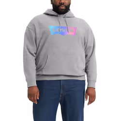 Levi's Men's Relaxed Graphic Hoodie (Also Available Tall)  Batwing Exp