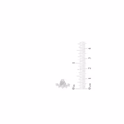 Amazon Essentials 10K White Gold 1/4 Cttw Round Diamonds Stud Earrings