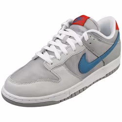 Nike Dunk Low Qs Mens Fashion Trainers in Silver - 9.5