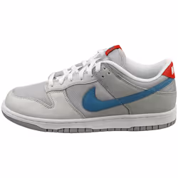 Nike Dunk Low Qs Mens Fashion Trainers in Silver - 9.5