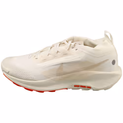 Nike Pegasus Trail 5 Gore-tex Mens Fashion Trainers in Sail - 7