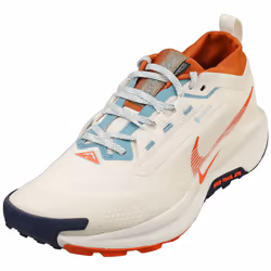 Nike Pegasus Trail 5 Gore-tex Mens Fashion Trainers in Phantom - 7.5
