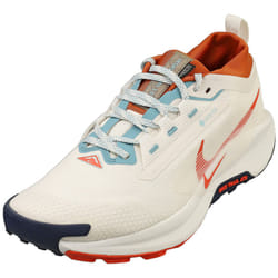 Nike Pegasus Trail 5 Gore-tex Mens Fashion Trainers in Phantom - 7.5