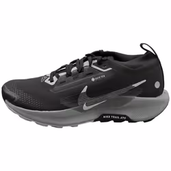Nike Pegasus Trail 5 Gore-tex Womens Fashion Trainers in Black Grey - 6