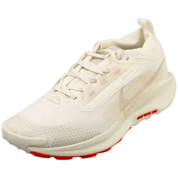 Nike Pegasus Trail 5 Gore-tex Mens Fashion Trainers in Sail - 7.5