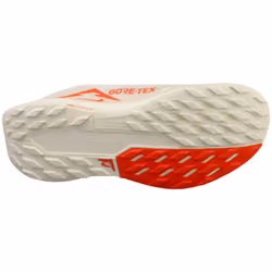 Nike Pegasus Trail 5 Gore-tex Mens Fashion Trainers in Sail - 7.5