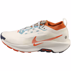 Nike Pegasus Trail 5 Gore-tex Mens Fashion Trainers in Phantom - 8.5