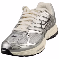 Nike Air Pegasus 2005 Womens Fashion Trainers in Photon Dust Chrome - 4.5