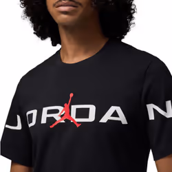 Nike Air Jordan Mens Crew Neck T-Shirts - Black, Large