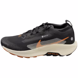 Nike Pegasus Trail 5 Gore-tex Mens Fashion Trainers in Black - 7.5