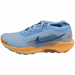 Nike Pegasus Trail 5 Gore-tex Mens Fashion Trainers in Blue - 7