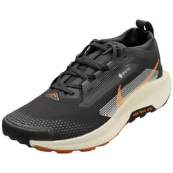 Nike Pegasus Trail 5 Gore-tex Mens Fashion Trainers in Black - 8.5