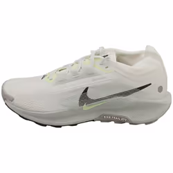 Nike Pegasus Trail 5 Gore-tex Mens Fashion Trainers in Summit White - 8.5
