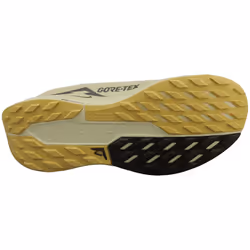 Nike Pegasus Trail 5 Gore-tex Mens Fashion Trainers in Alabaster - 7.5