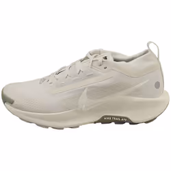 Nike Pegasus Trail 5 Gore-tex Mens Fashion Trainers in Light Bone - 9