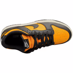 Nike Dunk Low Retro Mens Fashion Trainers in Sundial Anthracite - 9