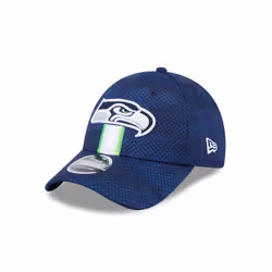 Seattle Seahawks' 940 Stretch Snap New Era NFL24 9Forty Cap