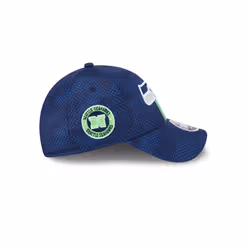 Seattle Seahawks' 940 Stretch Snap New Era NFL24 9Forty Cap