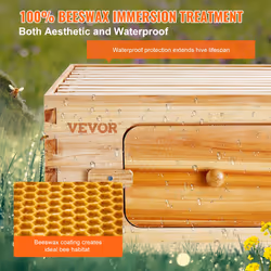 Bee Hive Medium Box Starter Kit, 100% Beeswax Coated Natural Cedar Wood, Langstroth Beehive Kit with 10 Frames and Foundations, Transparent Acrylic
