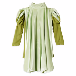 Disney Store Official Boys Dress Up Costumes for Play Prince Naveen from The Princess and the Frog - Premium Costumes for Kids  Cosplay for Children