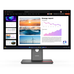 Lenovo ThinkVision P24Q-40 Monitor