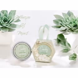 Coach's Natural Moisturizing  Nourishing  Vegan Mint and Vanilla Lip Balm.