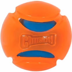 Chuckit Hydrosqueeze Ball Medium