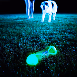 Chuckit Max Glow Tumble Bumper Large