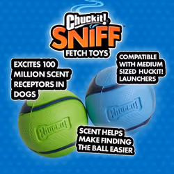 Chuckit! Sniff Fetch Ball Peanut Butter Medium 1pk
