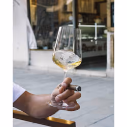 Zalto Denk'Art Universal Hand-Blown Crystal Wine Glasses | Set of 2 Gl