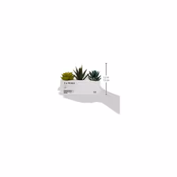 IKEA 203.953.31 FEJKA Mini Artificial Succulent Desk Plants in Pots 6 Centimetres (3 Pack)