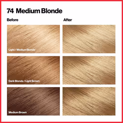 Revlon Permanent Hair Color  Permanent Blonde Hair Dye  Colorsilk with 100% Gray Coverage  Ammonia-Free  Keratin and Amino Acids  Blonde Shades (Pack