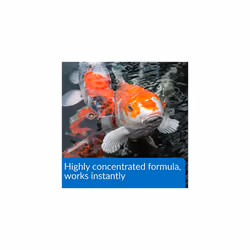 POND AQUA ESSENTIAL Pond Water Conditioner 473ml bottle