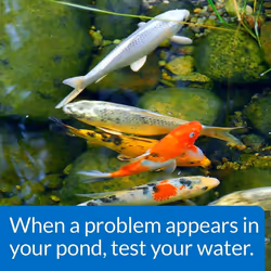 API Pond Master Liquid Test Kit - 64050