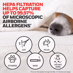 Honeywell HEPA Air Purifier Filter Kit - Includes 1 HEPA R Replacement Filter and 4 A Carbon Pre-Cut Pre-Filters - Airborne Allergen Air Fil
