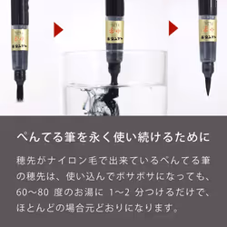 Pentel XFP5F Brush  Ultra Fine Point  Black  1.6 x 9.1 x 0.6 inches (4