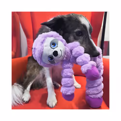 KONG Shakers Crumples Sloth XL