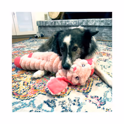 KONG Shakers Crumples Bunny XL