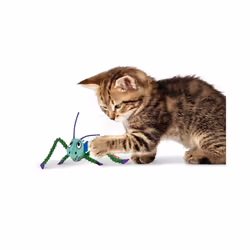 KONG Crackles Grasshopper