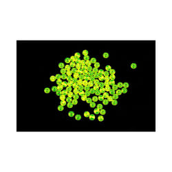 Gemini Genie 3mm Rig Beads (100 Per Pack) - 3mm Chartreuse Chartreuse