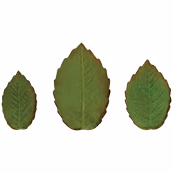 PME Plunger Cutters  Veined Rose Leaf