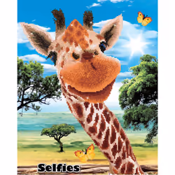Diamond Dotz Hey There! Diamond Painting Kits for Adults - Diamond Art Kits a Relaxing Creative Craft Kit with Dotz Gems 20.5x16.5