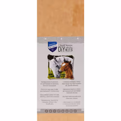 Vervaco Latch Hook KIT Horse/FOAL  One Size  Multicolor