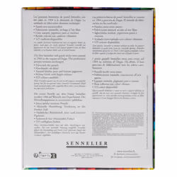 Savoir-Faire Sennelier Soft Pastels Set 24/Pkg-Introductory