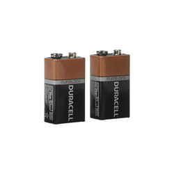 Alkaline 9V Battery Pack of 2 MN1604
