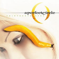 Music On Vinyl A Perfect Circle - Thirteenth Step, Vinyl