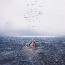 Universal Music Shawn Mendes - Wonder, Pop rock, CD, Shawn Mendes, Physical media, Adults, 1 discs